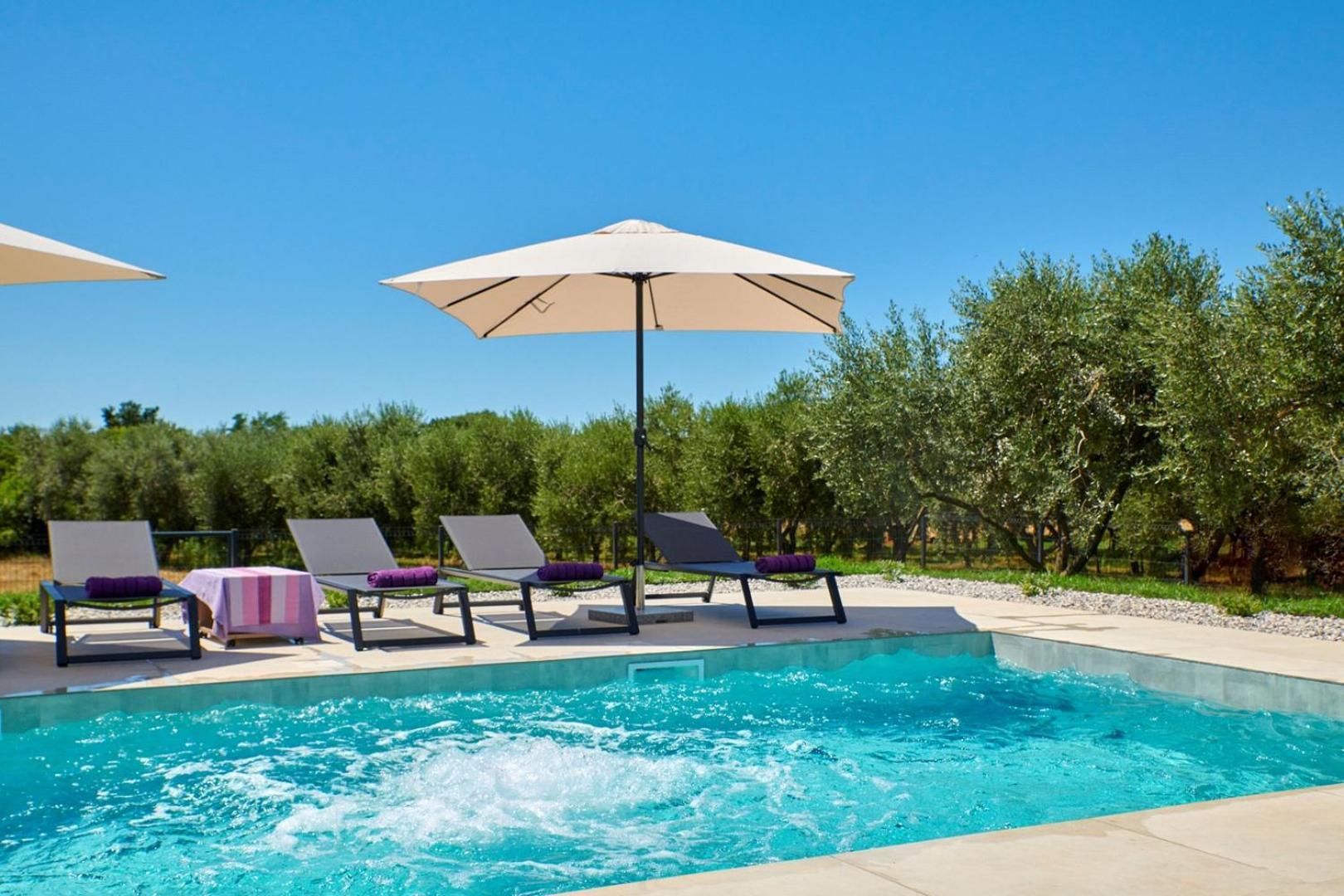 Brand New Villa Borina With Pool Loborika 外观 照片